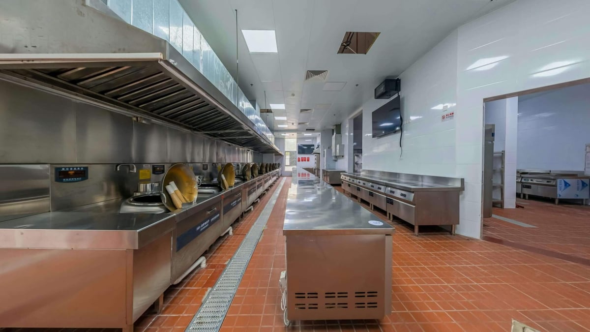 Restaurant kitchen ESP exhaust purification solution — Polygee
