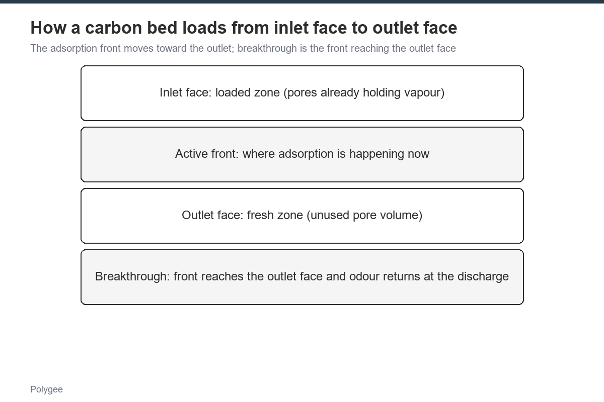 Vapor molecules diffuse into carbon pores and accumulate until the adsorption front reaches the outlet face