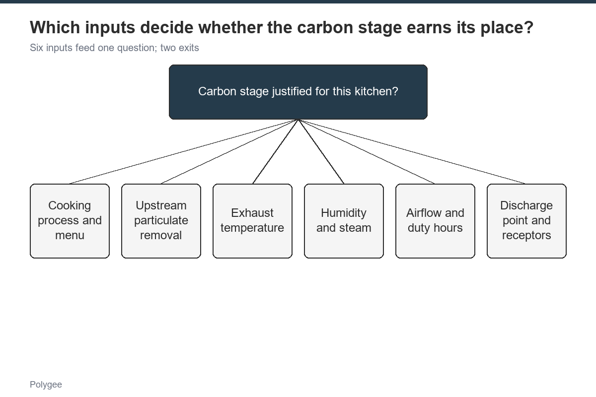 Which Inputs Decide Whether the Carbon Stage Earns Its Place? — Polygee